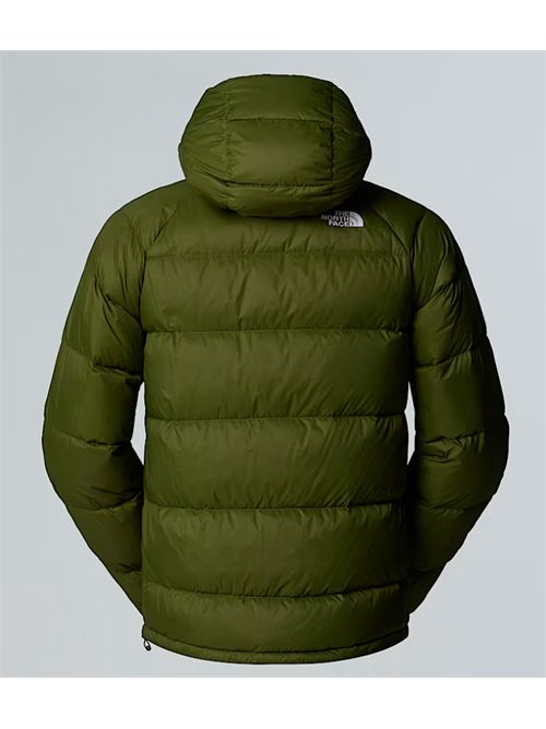 HYDRENALITE THE NORTH FACE | NF0A5GIEBRI1GREEN